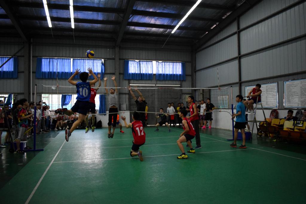 bevictor伟德官网